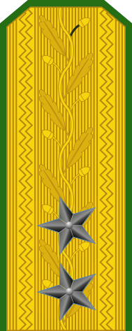 Urcea-Marines-OF-8.png