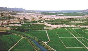 Vallejar vine cultivation fields, near Caravaca de la Cruz.jpg