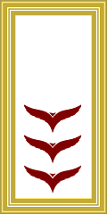 ViceAirAdmiralBG.png