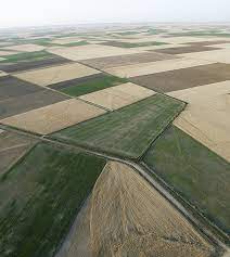 Vallejar farming lands.jpg