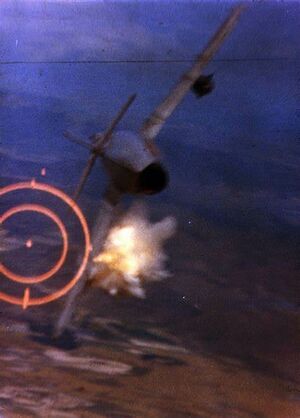 Shot down Kelekona aircraft.jpg
