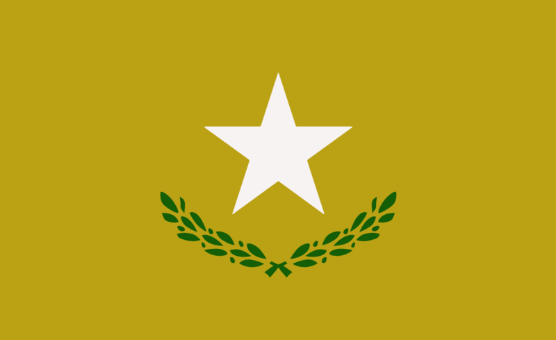 File:CSTU New Flag.PNG