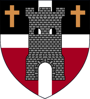 Amarre Coat of Arms.png