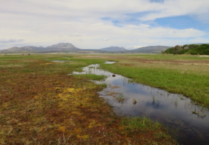 Tite coastal wetlands.PNG