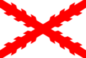 Flag of Vallejar