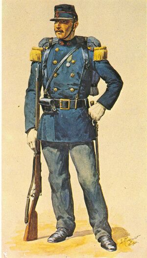 Burgoignesc Tropes Metropole Line Infantry 1883.jpg