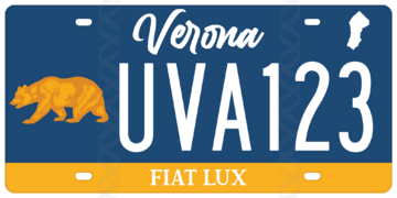 University of Verona license plate