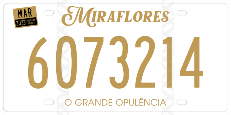 File:Miraflores license plate option 2.png