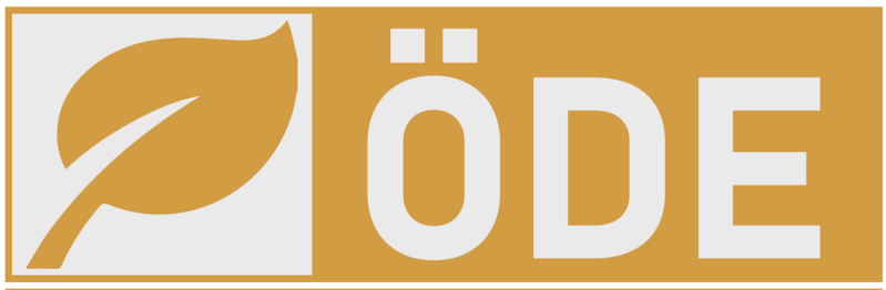 File:ODE-Logo-and-Icon.png