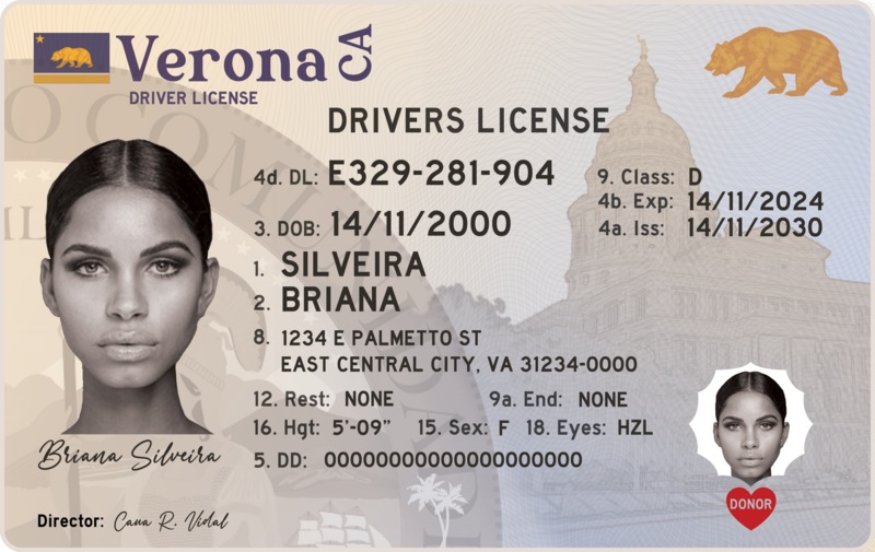 File:Verona Drivers License.png