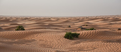 Al-Safra desert.